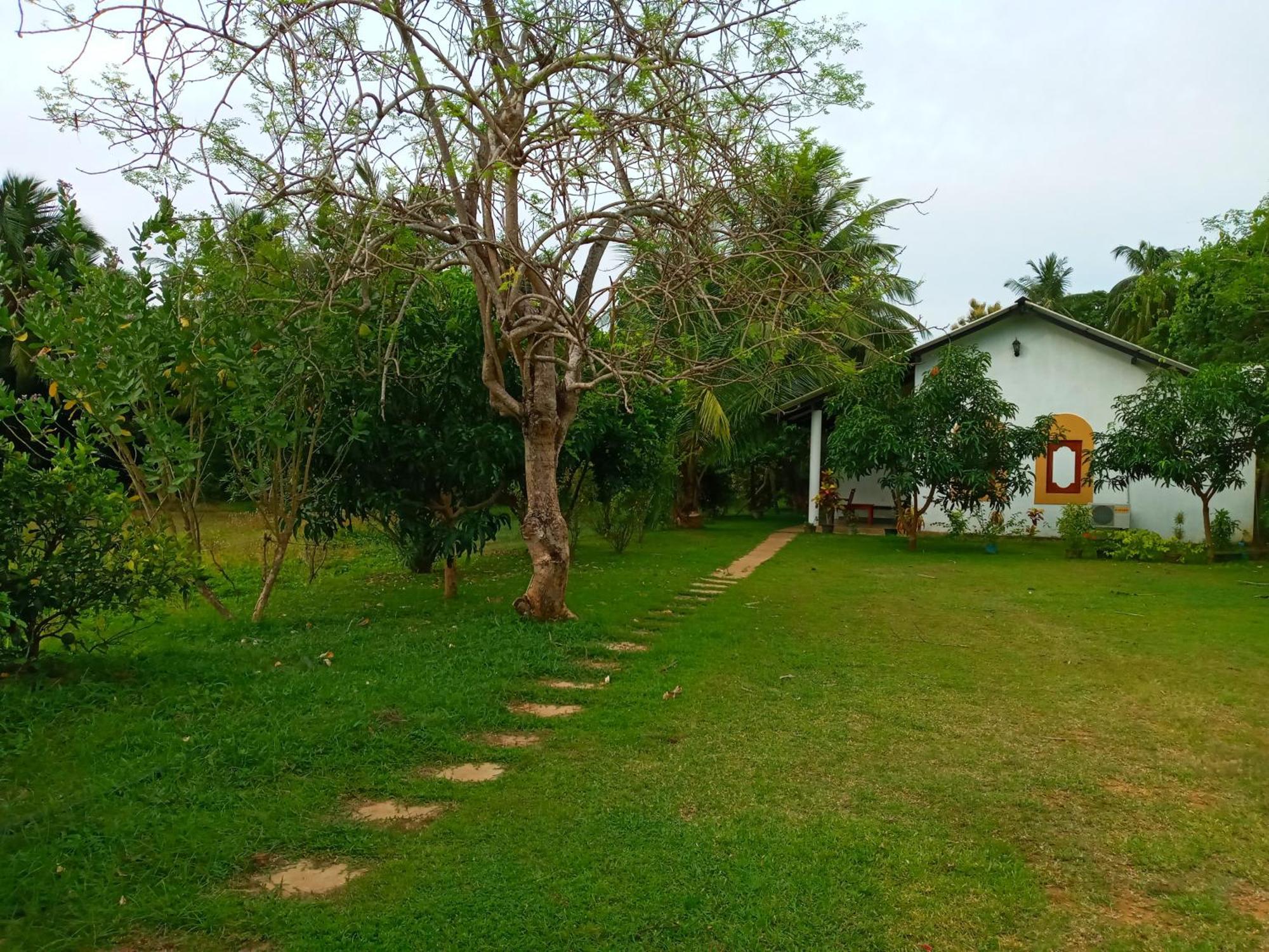 Hideaway Homestay هاباران المظهر الخارجي الصورة