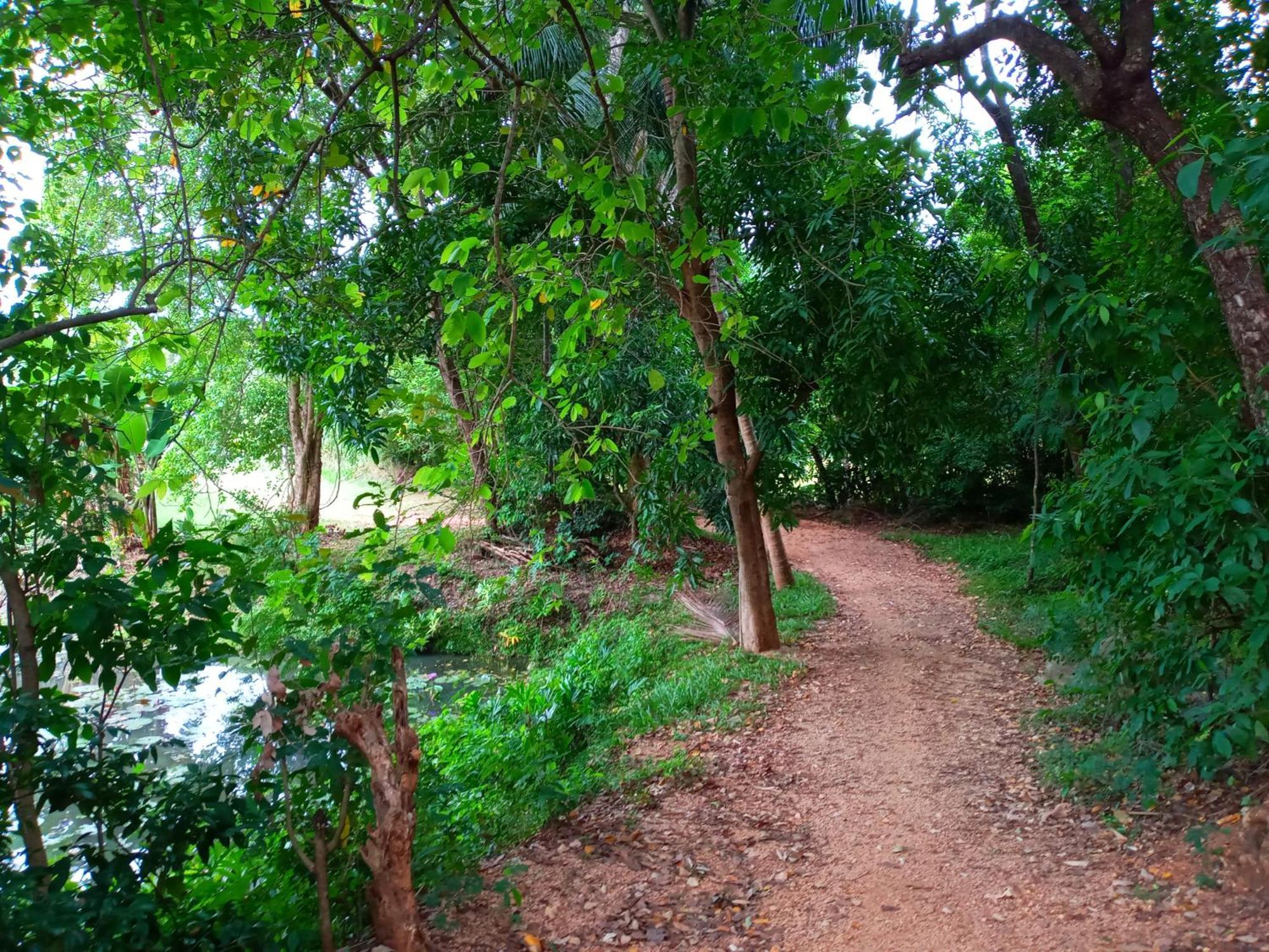 Hideaway Homestay هاباران المظهر الخارجي الصورة